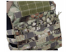 TMC Jumper Plate Carrier (MAD)